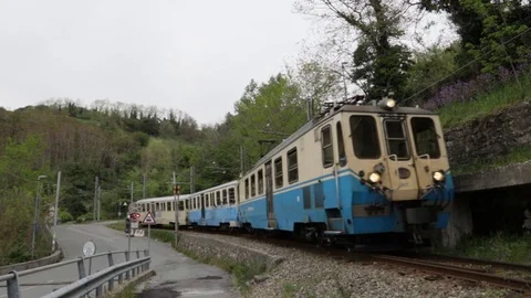 Narrow-gauge train transits from the level crossing Stock Footage 106837238