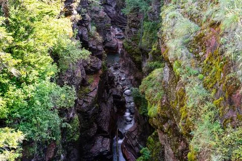 A narrow gorge with a stream flowing through, moss-covered rocks abound. Stock Photos