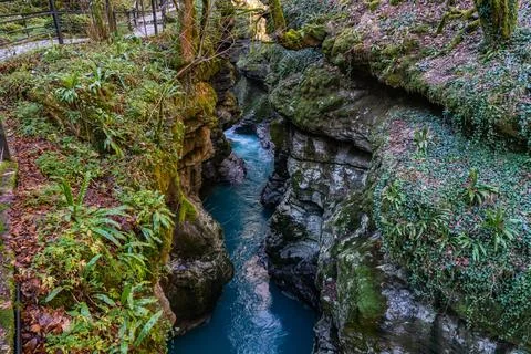 Narrow Gorge Stream Fotos de archivo