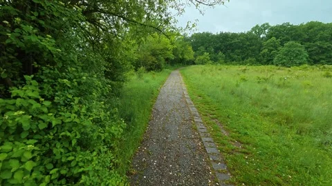 Narrow gravel path winds through lush greenery. Sumarice, Kragujevac Stock Footage 340900231