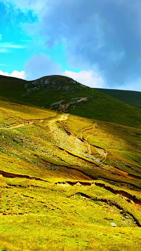Narrow hiking trail junction on a grassy mountain slope. Vertical video. Stock-Footage 333205593