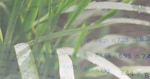 Narrow leaf clump shifting from breeze and camera pull, data overlay scrolling Stock Footage 320650760