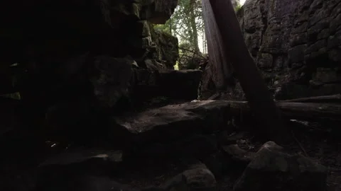 A narrow limestone gully in a forest Stock Footage 154012844