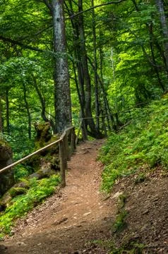 Narrow mountain path in the deciduous forest along a small wooden fence. Stock Photos