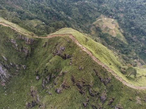 Narrow mountain path winding through lush green landscape in Sri Lanka Foto stock