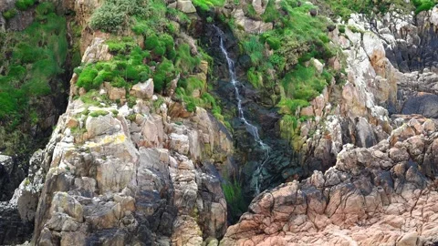 A narrow mountain stream flows down rocky cliffs covered with green moss Stock Footage 303246060