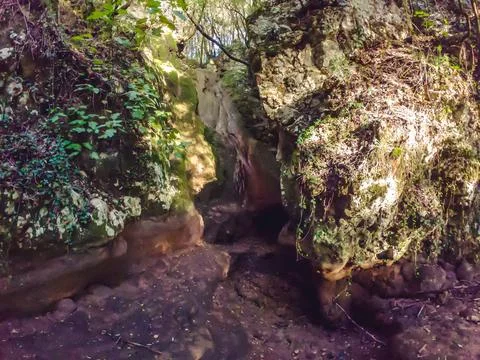 Narrow passage between moss-covered rocks in a forest Stock Photos