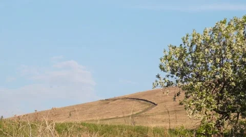 Narrow path along hill slope in countryside Stock Footage 54916494
