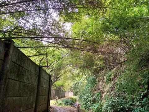Narrow Path Between Concrete Walls Stock Photos