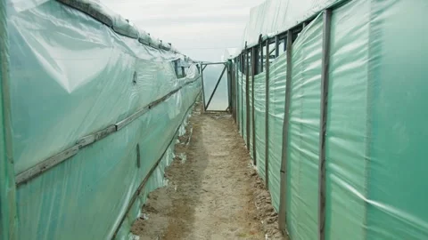 Narrow path between green plastic-covered greenhouses Stock Footage 313666089