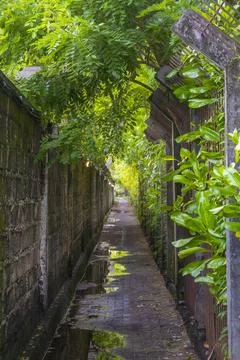 Narrow path with a fence on the right side Stock-Fotos