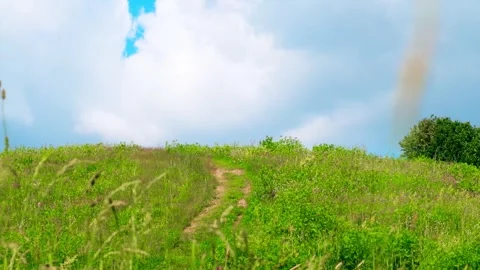Narrow path in a field with grass Video stock 280381283