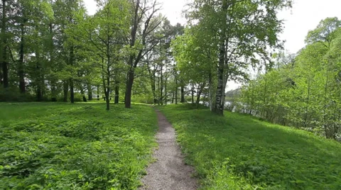 Narrow path Stock Footage 35624759