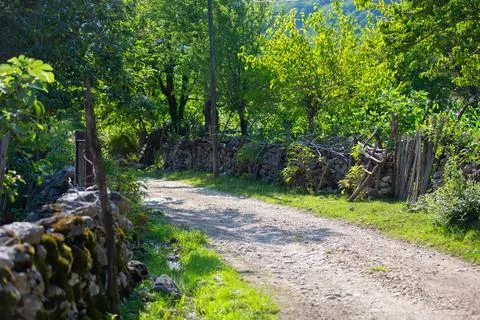 A narrow path in a Georgian settlement. Stock Photos