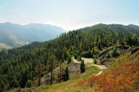 A narrow path going up the slope to the top of a rocky mountain with a dens.. Stock Photos