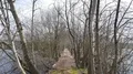 Narrow path with leafless trees between nature lakes in early spring season 4k or 4k+ Resolution