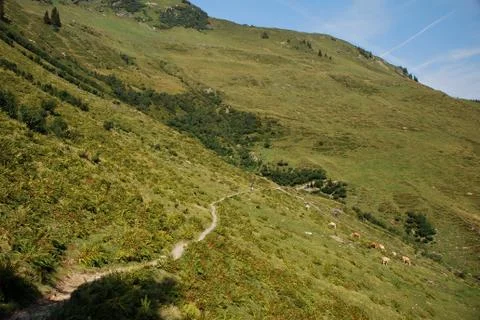 A narrow path on mountain with mountain biker Stock Photos