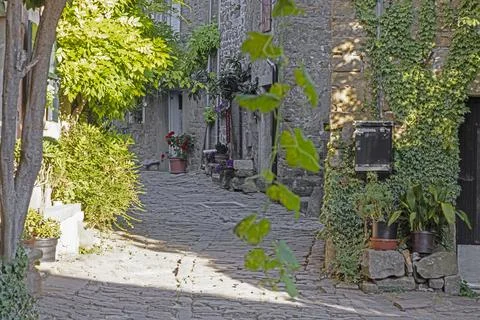 A narrow path in an old town with several pots of plants on the ground 写真素材