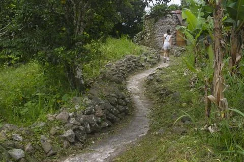 Narrow path Stock Photos