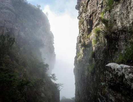 Narrow Path Stock Photos