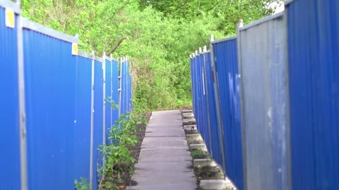 Narrow path surrounded by blue construction barriers in a green environment.. Stock Footage 282884121