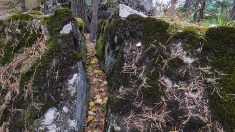 A narrow path through ancient moss covered stones in the North Caucasus mountain Stock Footage 320851992
