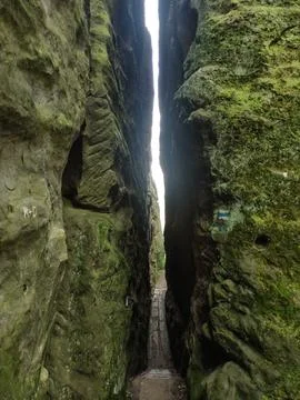 A narrow path through a deep sandstone gorge, lined with moss-covered cliffs Stock Photos