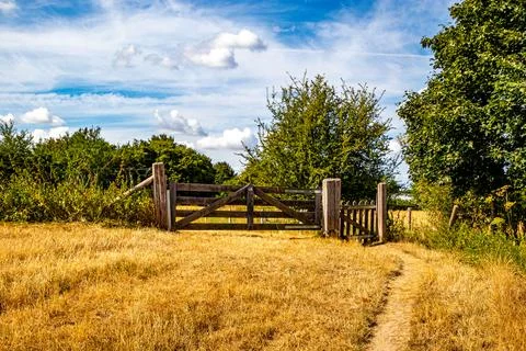 Narrow path through dry grass towards wooden fence at entrance Stock Photos