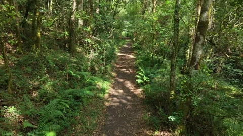 Narrow Path Through Mountain Hike Trails Of Castro River Stock Footage 341740045