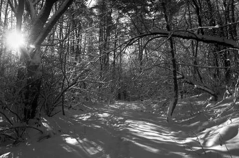 A narrow path through a snow-covered park at sunset on a winter evening, with Foto stock