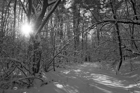 A narrow path through a snow-covered park at sunset on a winter evening, with Foto stock