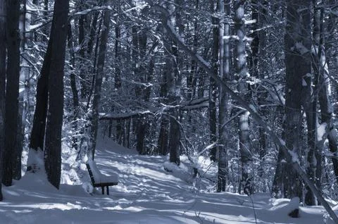 A narrow path through a snow-covered park at sunset on a winter evening, wi.. Stock Photos