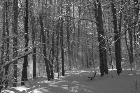 A narrow path through a snow-covered park at sunset on a winter evening, with Foto stock