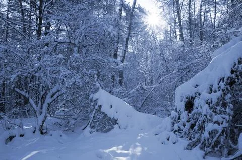 A narrow path through a snow-covered park at sunset on a winter evening, with Foto stock