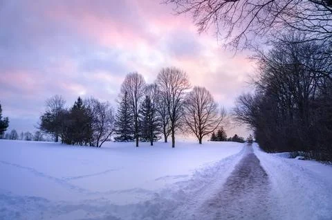 A narrow path through snowy field in winter park at sunset on winter evenin.. Stock Photos