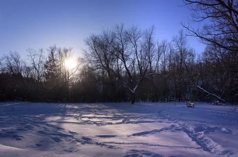 A narrow path through snowy field in winter park at sunset on winter evening Stock Photos