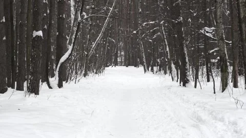 Narrow path trampled in the snow Video stock 273280828