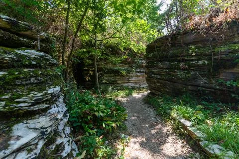 Narrow path walk in shadow of trees in a park. Active rest in hiking Stock Photos