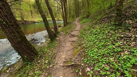 Narrow path winds beside a flowing stream. Mount Ozren, Serbia Vidéo 332729518