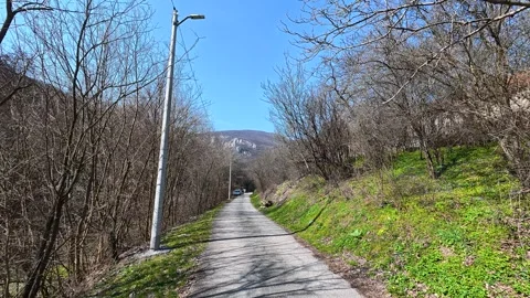 Narrow path winds through leafless trees. Balkan, Eastern Europe, POV Vídeo Stock 331430685