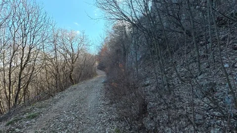Narrow path winds through leafless trees. Balkan, Eastern Europe, POV Video stock 331453427