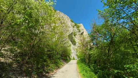 Narrow path winds through vibrant green trees. Ovcar Kalbar Gorge, Serbia Видео 333843982