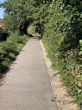 A narrow, paved path winding its way through a dense tunnel of  foliage Stock Photos