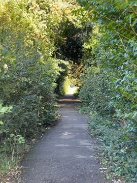 Narrow, paved path winding its way through a dense tunnel of lush green foliage. Stock Photos
