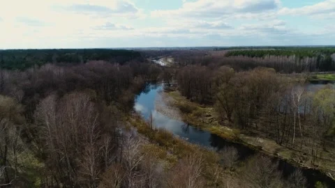 Narrow river among trees in spring Stock Footage 265757770