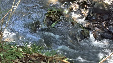 Narrow river beautiful Video stock 103195324