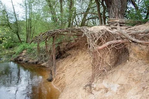 A narrow river called "Dinkel" Stock-Fotos