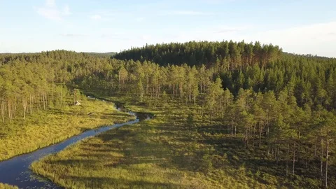 Narrow river flows through a marshland Video stock 95246040