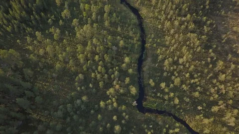 Narrow river in a forest Stock-Footage 95245207
