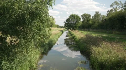 Narrow river lined by trees and grassland, Lincoln, Lincolnshire, England Stock Footage 282831910